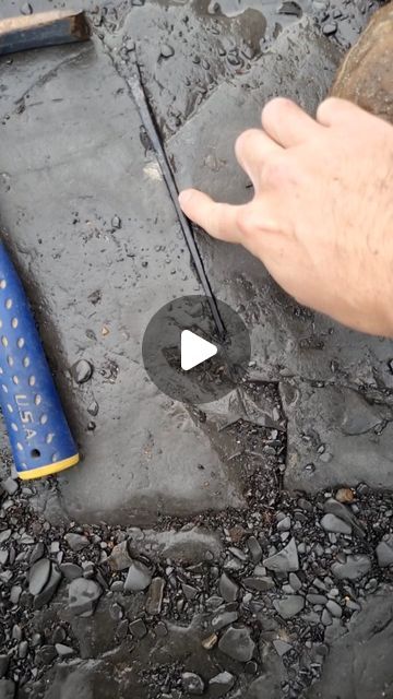 Dr Dean Lomax on Instagram: "A pterosaur wing bone or a super long belemnite? 🤔  This is a cool, very delicate Jurassic belemnite called Youngibelus tubularis. It is around 180 million years old.  I spotted this one whilst collecting fossils near Whitby, along the Yorkshire Coast. I've been collecting these since about the age of 14, and finding them is always fun.  What you’re looking at is the rostrum or guard of the belemnite, the hard internal structure. The reconstruction is by @nobumichi.tamura , originally created for my first book, 'Fossils of the Whitby Coast'.  #fossil #fossils #fossilhunter #paleontology #palaeontology #paleontologist #nature #jurassic #dinosaur #jurassicpark #prehistoric #ammonite #geology #fossilhunting #belemnite #squid #yorkshirecoast" Yorkshire Coast, Rock Collecting, Fossil Hunting, Fossil Bones, Jacksonville Beach, Rock Collection, Jurassic Park, Geology, Yorkshire