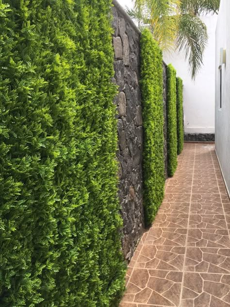 Outdoor Green Wall, Vertikal Garden, Artificial Grass Wall, Grass Design, Side Yard Landscaping, Vertical Garden Design, Courtyard Gardens Design, Rooftop Terrace Design, Grass Wall