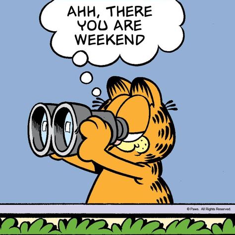 I can see the weekend from here. Weekend Work Quotes, Garfield Quotes, Garfield Images, Garfield Cartoon, I Hate Mondays, Garfield Comics, Happy Weekend Quotes, Garfield And Odie, Weekend Quotes