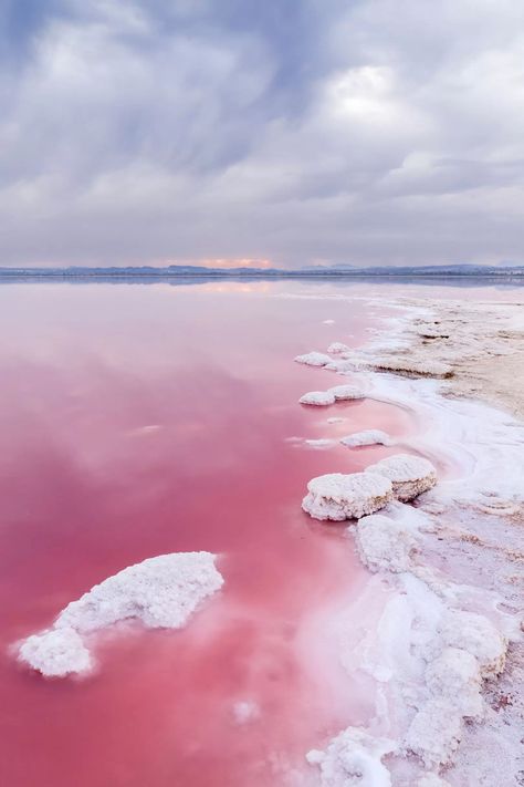 Torrevieja Spain, Pink Lake, Colorful Places, Blue City, Valencia Spain, Pink Beach, Natural Phenomena, Beach Vibes, Best Places To Travel