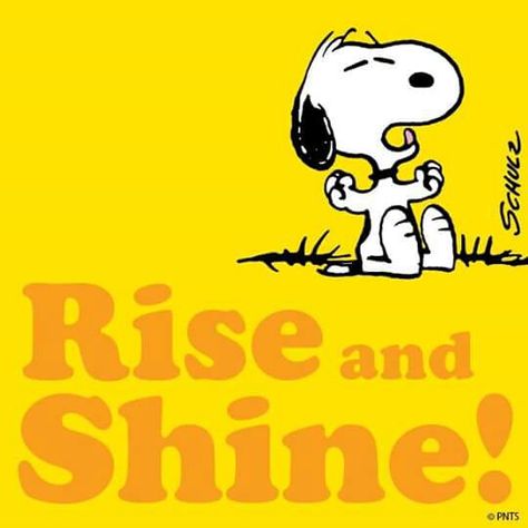 Rise and shine! Snoopy Morning, Charlie Brown Quotes, Good Morning Snoopy, Class Inspiration, Lucy Van Pelt, Snoopy Images, Peanuts Cartoon, Peanuts Characters, Snoopy Quotes