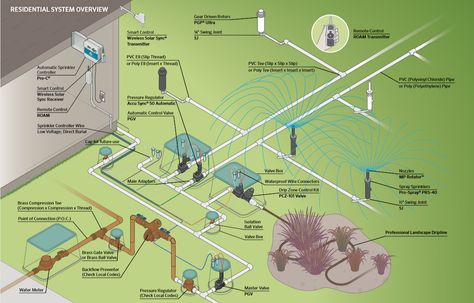 Typical components in an irrigation system. Home Sprinkler System, Sprinkler System Design, Irrigation System Design, Sprinkler System Diy, Irrigation System Diy, Plumbing Diagram, Lawn Sprinkler System, Landscape Design Software, Lawn Irrigation