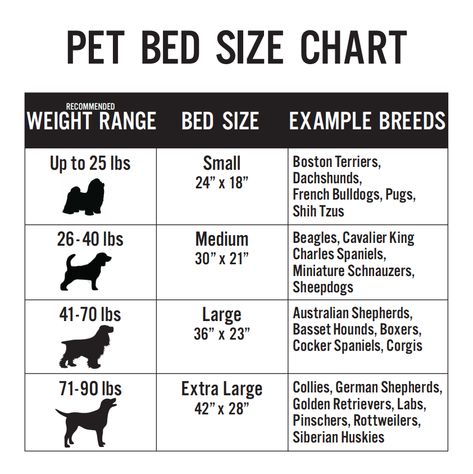 Bed Size Chart, Bed Size Charts, Bed Measurements, Dog Bed Sizes, Dog Crate Pads, Dog Size Chart, Diy Pet Bed, Puppies Tips, Perfect Bed