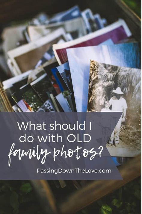 Photo Organization Storage, Digital Photo Organization, Preserving Photos, Photography Organizations, Perfect Pic, Picture Organization, Old Family Photos, Analog Photography, How To Book