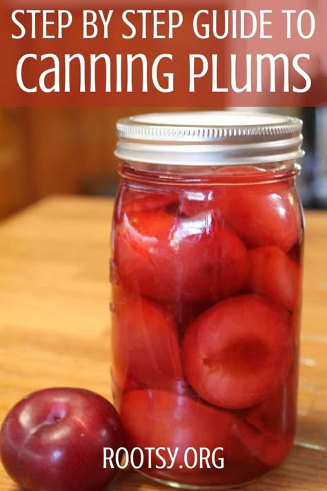 Canning Plums, Canning Fruit Recipes, Attainable Sustainable, Plum Torte, Plum Butter, Plum Preserves, Canned Plums, Survival Preparedness, Canning Fruit