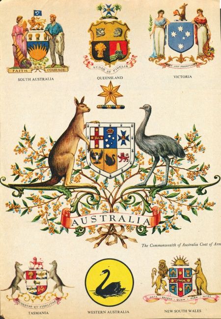 Australian Tattoo Ideas, Coat Of Arms Tattoo, Australian Coat Of Arms, Aboriginal Tattoo, Koala Tattoo, Australia Tattoo, Australian Culture, Australian Tattoo, Australian Icons