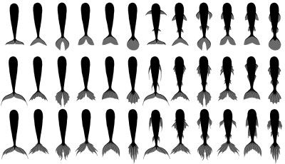 Mermaid tail types Fish Tail Reference, Mermaid Tops Drawing, How To Draw A Mermaid Tail, Tails References, Fish Tail Drawing, Siren Tail Drawing, Mermaid Tail Reference, Drawing Mermaid Sketches, How To Draw Mermaids