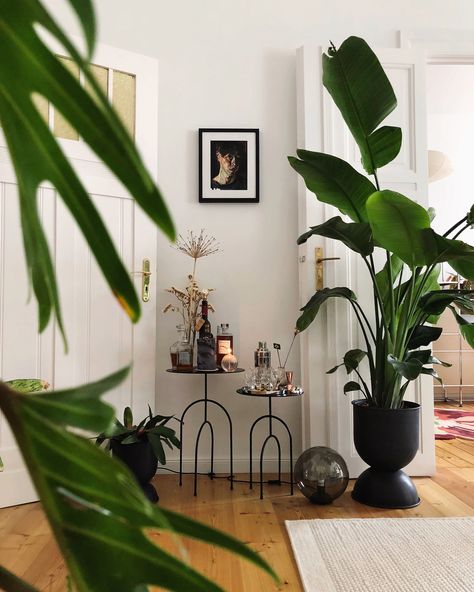 Igor's urban jungle apartment in Berlin | Domestika Urban Jungle Living Room, Jungle Apartment, Victorian Bohemian Decor, Workspace Home, Home Gel Nails, Men Decor, Home Bedroom Design, Black Feature Wall, Nails Home