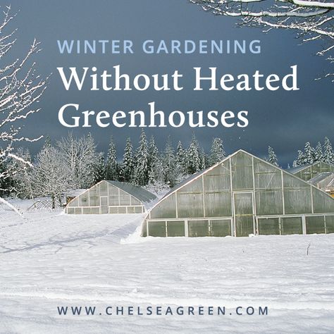 Heating A Greenhouse, Winter Greenhouse, Winter Gardening, Grow Food, Greenhouse Growing, Backyard Greenhouse, Survival Gardening, Greenhouse Plans, Diy Greenhouse