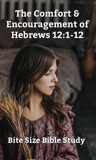 Hebrews 12 offers wonderful advice for us when we are suffering. This short study explains some of the important truths in this passage. Hebrews 12 1, Book Of Hebrews, New Testament Books, Hebrews 12, Proverbs 4, Christian World, Bible Love, Us When, Different Words