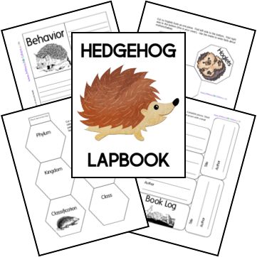 Animal Lapbook, Hedgehog Facts, Lap Book Templates, Hedgehog Animal, Animal Classification, Hedgehog Pet, Book Log, Animal Study, Printables Free