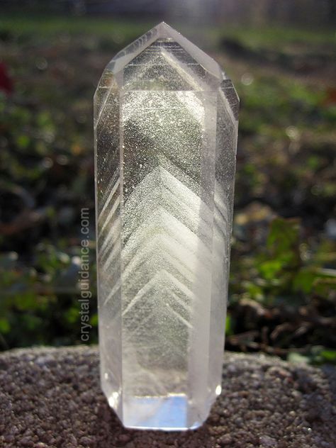 Phantom Quartz Witch Types, Horned Lizard, Magic Stones, Crystal Guide, Spiritual Crystals, Phantom Quartz, Crystal Magic, Kansas City Missouri, Minerals And Gemstones