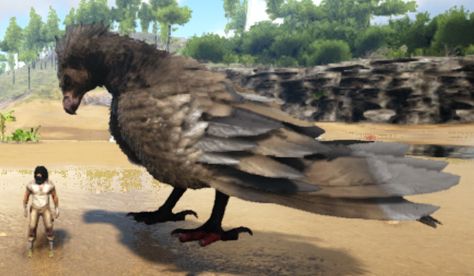 Ark Argentavis, Ark Survival Evolved, New Mutants, Cool Stuff, Avatar, Google Search, Animals, Quick Saves