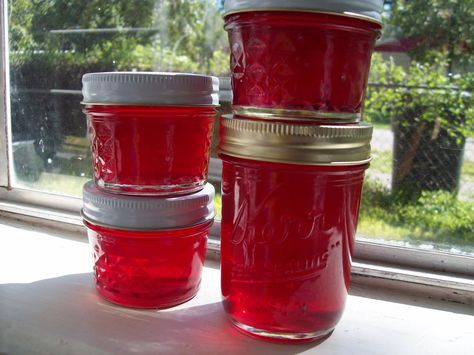 Pecan Corner: How To Make Prickly Pear Cactus Jelly Part 3 Cactus Jelly, Pear Jelly Recipes, Prickly Pear Jelly, Prickly Pear Recipes, Pear Jelly, Cactus Recipe, Habanero Jelly, Quince Jelly, Cherry Salsa