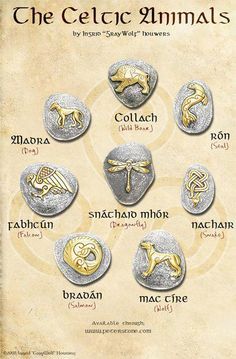 Animal Symbols, Symbols And Their Meanings, Animal Symbol, Celtic Animals, Celtic Druids, Symbole Viking, Egiptul Antic, Irish Mythology, Celtic Heritage