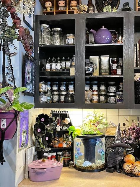 Modern Witch House Kitchen, Whimsical Goth Kitchen, Witchy Apartment Kitchen, Modern Witch Kitchen Aesthetic, Alt Kitchen Ideas, Witchy Closet, Alternative Kitchen Ideas, Witchy Rv Decor, Kitchen Witch Aesthetic Home