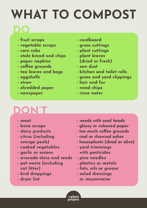 compost dos and don'ts - The Plant Project Compost Area Design, Indoor Compost Bin, What To Compost, Small Compost Bin Diy, Compost Container Kitchen, Diy Compost Bin, What Can You Compost, What Is Composting, What Can Be Composted