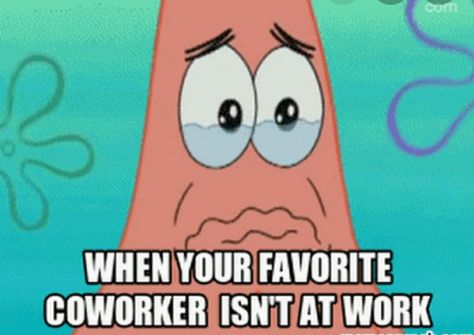 Coworker Best Friend Quotes, Co Worker Memes, Coworker Quotes, Fuuny Memes, Vacation Humor, Work Friends, Funny Work, Maternity Leave, Work Memes