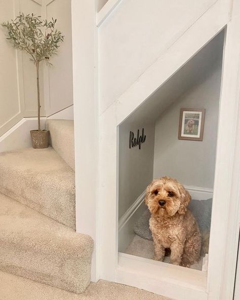 Under Stairs For Dogs, Stairs Dog House, Small Stairs, Under Stairs Dog House, Under Stairs Ideas, Deco Cinema, تحت الدرج, Stairs Renovation, Under Stairs Storage