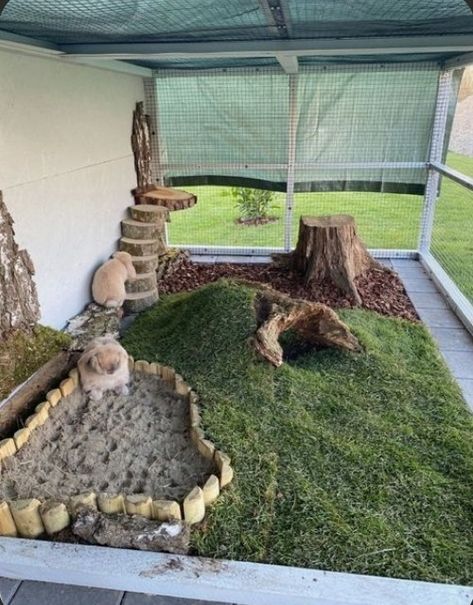 Rabbit Cage Setup, Bunny Village, Bunny Sheds, Rabbit Enclosure, Rabbit Habitat, Bunny Room, Pet Bunny Rabbits, Rabbit Cages, Backyard Landscaping Plans