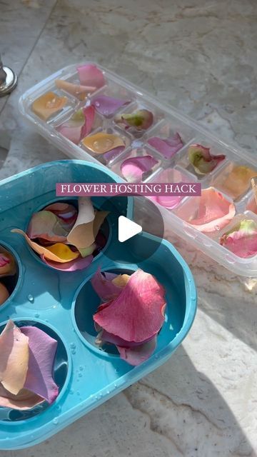 Kerra Lynn Looks on Instagram: "Pro tip: never underestimate the power of flower ice cubes💐✨ #partyideas #hostinghacks #flowerhack #partydecor #eventdesign #festive #partyinspiration #partyinspo #flowerinspiration" Ice Flower Cubes, Flower Cubes, Hosting Hacks, Flower Ice Cubes, Instagram Pro, Flower Ice, Pro Tip, Summer Entertaining, Flower Ideas