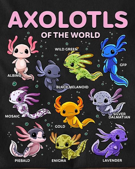 Cute Axolotl Drawings Kawaii, Cute Drawings Axolotl, Axolotl Dnd Character, Axolotl Character Design Human, Minecraft Axolotl Drawing, How To Draw An Axolotl, Lavender Axolotl, Oc Species Ideas, Axolotl Character Design