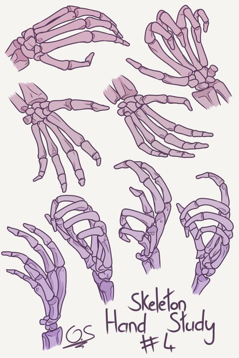 Skeleton Drawing Reference, Skeleton Hands Drawing, Skeleton Drawing, Hand Skeleton, Artist Reference, Hands Drawing, Skeleton Drawings, Body Drawing Tutorial, Hand Drawing Reference