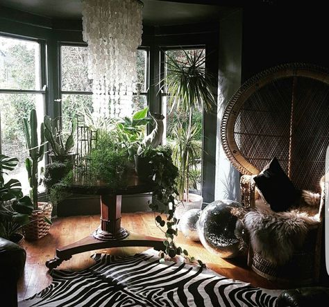 Unique bohemian space 🌱🌱 Euphorbia Trigona, Seshomaru Y Rin, Dark Living Rooms, Moody Interiors, Peacock Chair, Saturday Night Fever, Gorgeous Houses, Night Fever, Boho Interiors