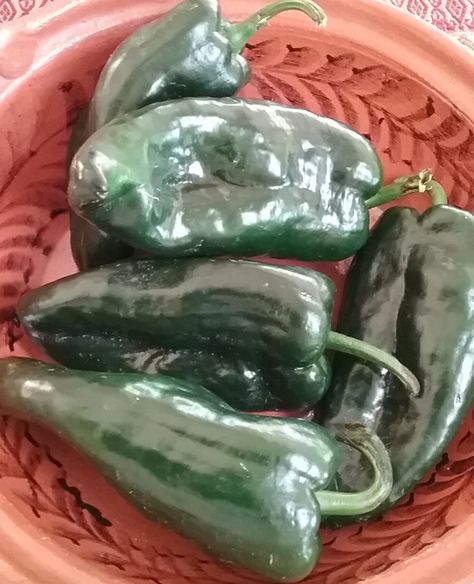 Chile Poblano, Mexican Spanish, Chile Relleno, Tex Mex, Mexican Food, Keep Up, Mexican Food Recipes, Cucumber, Succulent