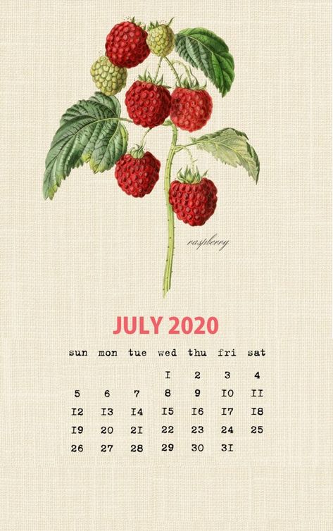 July 2020 Calendar, Filofax Ideas, Business Diary, Free Printable Calendar Templates, Printable Calendar 2020, School Timetable, Interchangeable Knitting Needles, Vintage Calendar, Blank Calendar Template