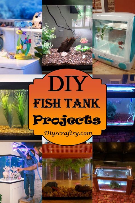 22 DIY Fish Tank Projects You Can Build Free Fish Tank Coffee Table, Diy Fish Tank, Cool Fish Tanks, Mini Aquarium, Diy Aquarium, Diy Tank, Cat Proofing, Fishing For Beginners, Salt Water Fish