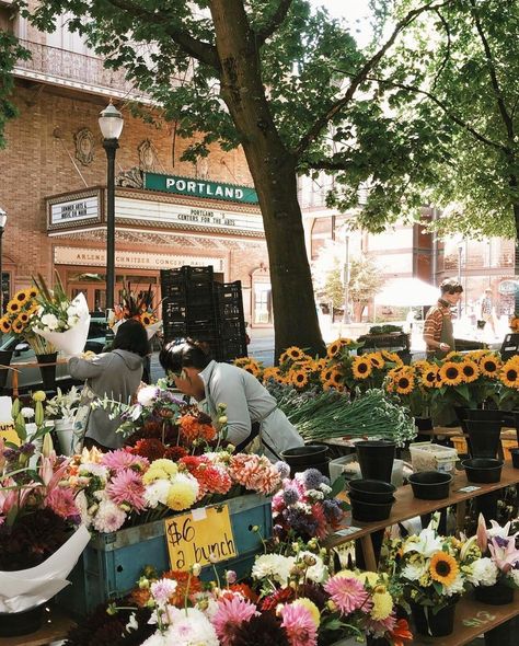 Oregon Aesthetic, Downtown Portland Oregon, City Life Aesthetic, Oregon Trip, College Vision Board, Travel Oregon, 2024 Moodboard, Oregon Life, Portland Travel