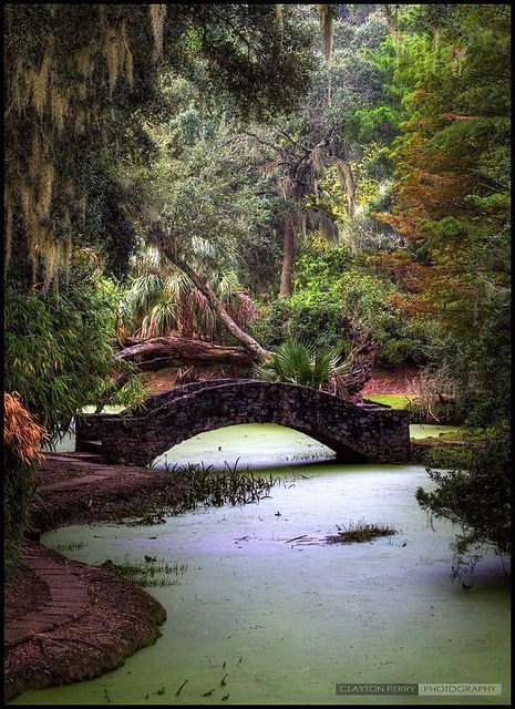 19 most beautiful places in Louisiana                                                                                                                                                                                 More Louisiana Vacation, Avery Island, Louisiana Travel, Most Beautiful Places To Visit, Louisiana Homes, New Orleans Travel, New Orleans Louisiana, To Infinity And Beyond, Beautiful Places To Visit