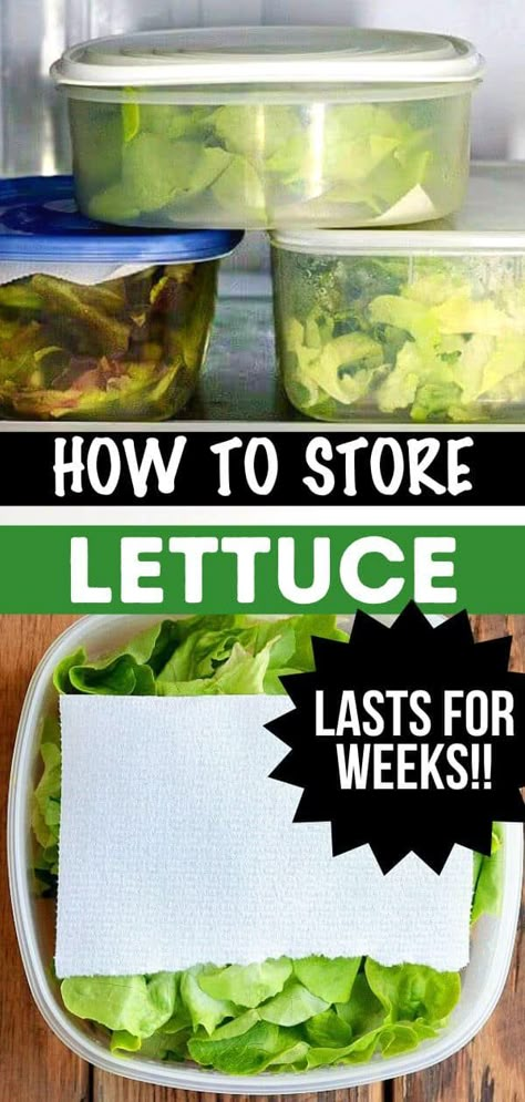 How To Prep Veggies For The Week, Storing Lettuce In Mason Jars, Best Way To Keep Lettuce Fresh, Best Way To Store Lettuce, How To Store Lettuce In Fridge, Romaine Lettuce Recipe Ideas, How To Keep Lettuce Fresh, How To Clean Lettuce, Best Way To Store Lettuce In Fridge