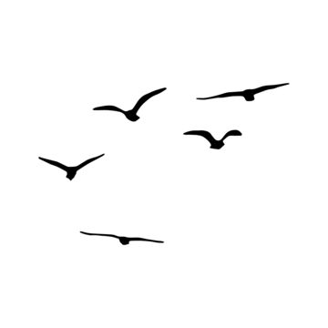 Flock Of Birds Flying, Flying Seagull, Birds Png, Flying Bird Silhouette, Wild Goose, Watercolor Clouds, Wallpaper Photo Gallery, Birds In The Sky, Bird Migration