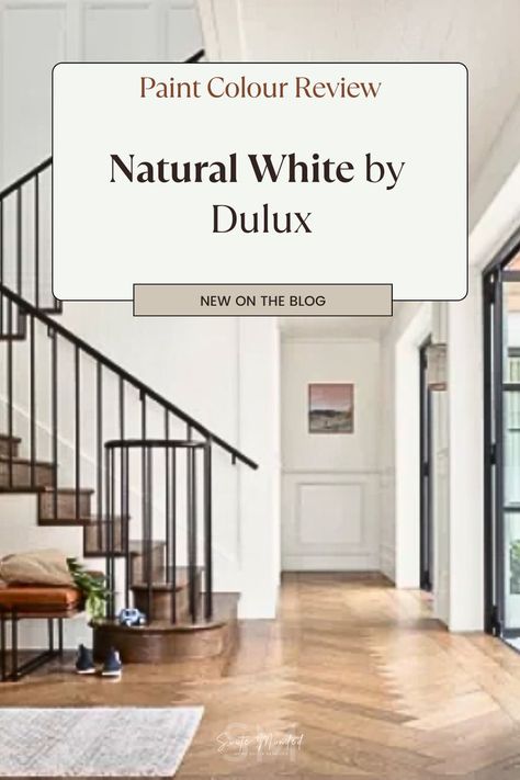 In this new paint colour review, I will dive deep into Dulux’s Natural White, a timeless and versatile shade that has become a go-to option over the years. Together, we'll discover its undertones, light reflectance value (LRV), and how it interacts with different lighting conditions. I'll also share the best coordinating and trim colours to help you create a cohesive and beautiful design throughout your home. Dulux Paint Colours White, Dulux White Paint, Dulux Timeless, Dulux Natural White, Dulux White, Dulux Paint Colours, Staircase Interior Design, Green House Design, New Paint Colors