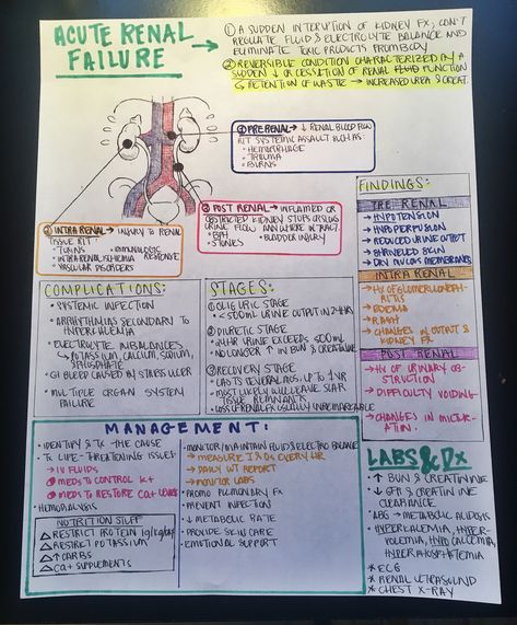 ACUTE Renal Failure    #acuterenalfailure #acutekidneyinjury #ARF #AKI #nursing #nursenotes #nurselife #nclexreview #studyspo #visualnote #studyasthetics #nurselife #nclexnotes #studymotivation Aki Nursing, Nurse Practitioner Notes, Aki Nursing Notes, Renal Nursing Notes, Glomerulonephritis Nursing, Renal Nursing, Nursing Renal Notes, Renal System Nursing, Acute Kidney Injury Nursing