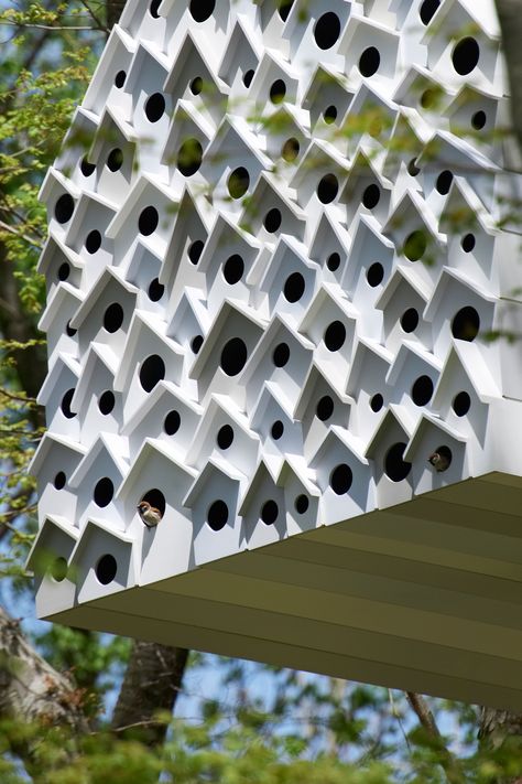 Bird-apartment Bird House Architecture, Bird Architecture, Bird Apartment, Nest Hotel, Nagano Prefecture, Modern Birdhouses, Collective Housing, Bug Hotel, Insect Hotel