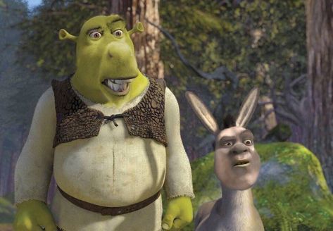 Shrek meme Shrek, Dreamworks, Memes