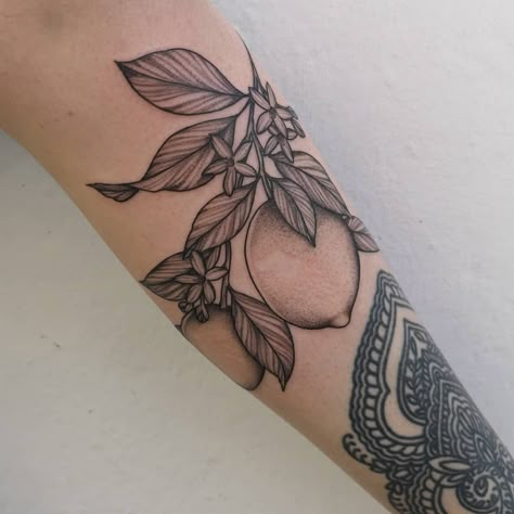 Jannali Hepple on Instagram: “Lemons done at @timeandtidefalmouth thank you for always getting cool stuff! #floral #floraltattoo #botanicalillustration #botanicaldrawing…” Lemon And Flower Tattoo, Lemon Shoulder Tattoo, Lemon Arm Tattoo, Lemon Half Tattoo, Lemon Tattoo Sleeve, Lemons Tattoo, Lemon Line Tattoo, Latte Tattoo, Lemon Branch Tattoo