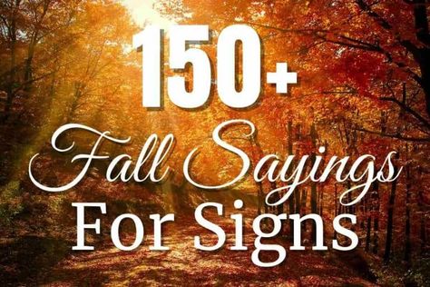 Fall Sayings For Signs, Pumpkin Sayings, Black Brick Fireplace, Sayings For Signs, Fall Sayings, Brick Fireplaces, Elegant Centerpiece, Black Fireplace, Shiplap Fireplace