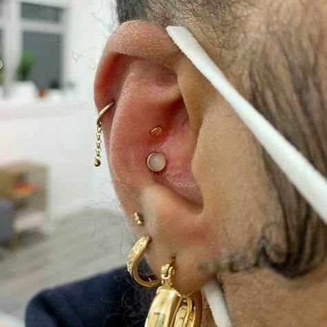 Pupil Hall, Conch Piercing, Yours Truly, Conch, Helix, Ear Piercings, Piercings, Pearl Earrings, Instagram Photos