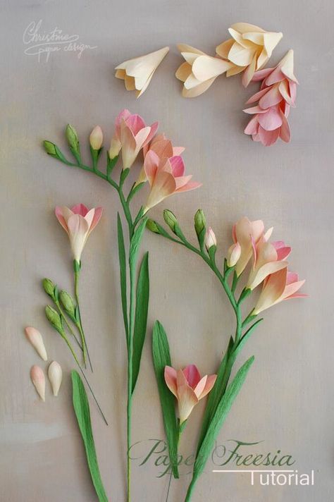 Tiny white flowers