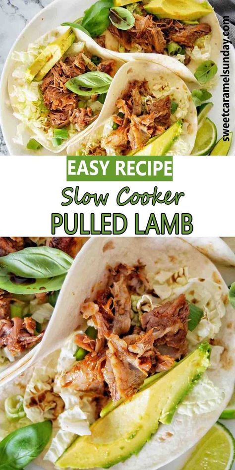 Pulled lamb meat in soft shelled tacos on white plate with avocado and lime wedges. Lamb Tacos Recipes, Lamb Slow Cooker Recipes, Crockpot Lamb, Pulled Lamb, Lamb Roast Recipe, Lamb Stew Recipes, Slow Cooker Lamb, Veal Recipes, Slow Cooker Stew