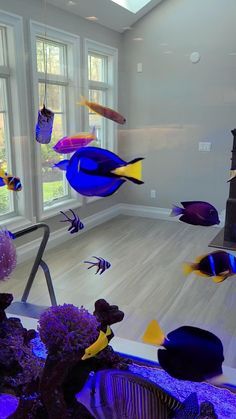 Saltwater Fish Aquarium, Aquarium House Ideas, House Aquarium Ideas, Fish Only Saltwater Aquarium, Beautiful Fish Tanks Ideas, Custom Aquarium Ideas, Saltwater Fish Tanks Design, Aquarium Fish Tank Ideas, Fish Tank Wall Aquarium Design