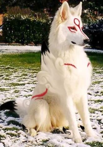 Even Dogs Can Cosplay Mystical Animals, 9gag Funny, Epic Cosplay, Cute Fantasy Creatures, Mythical Creatures Art, Amazing Cosplay, Halloween 2020, Dog Costumes, Grumpy Cat