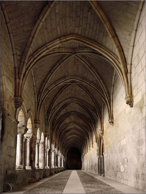 gothic architecture. ribbed vault. Gothic Architecture Interior, Gorgeous Architecture, Manor Interior, Burgos Spain, Ribbed Vault, Gothic Arch, Gothic Cathedral, Church Architecture, Classical Architecture