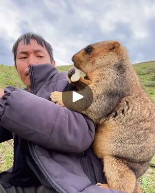 Unusual Animal Friends, Unlikely Animal Friends, Unusual Animal Friendships, Animal Friendships, Unexpected Friendship, Bee Inspired, Animals Friendship, Unusual Animals, Animal Photos