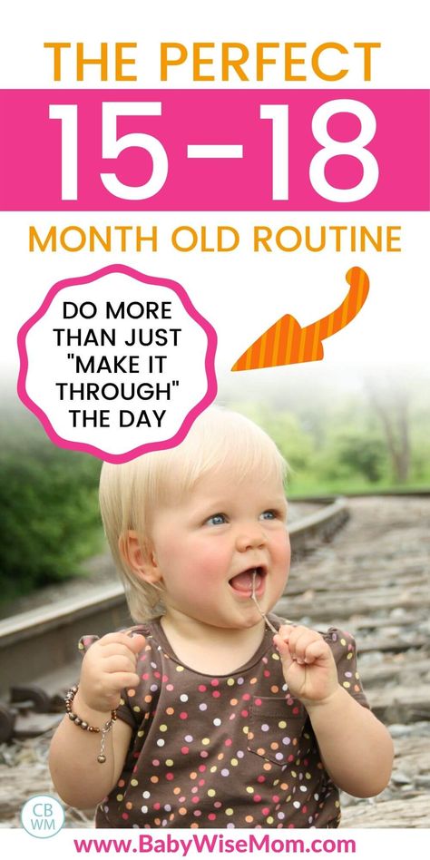 The perfect 15-18 month old routine. Do more than just make it through the day.  Tips to structure your toddler's day and really thrive! #toddlertips #toddlerschedule #15montholdschedule #routine #16montholdschedule #17montholdschedule #18montholdschedule 15 Mo Old Activities, 16 Month Old Sleep Schedule, 16 Month Old Development Milestones, 17 Month Old Schedule, 17 Month Old Milestones, 15 Month Milestones, 15 Month Old Schedule, 15 Month Old Milestones, 16 Month Old Activities