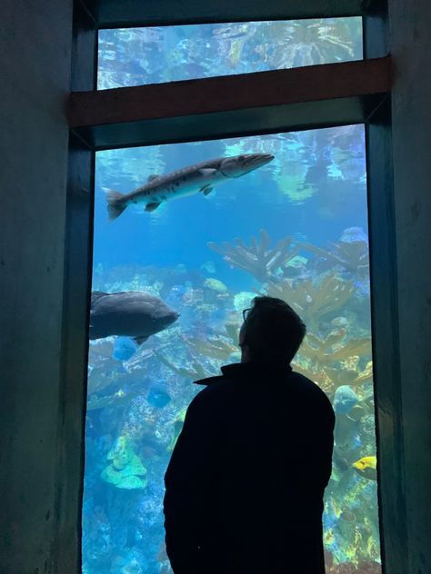 New England Aquarium, New England, Boston, England